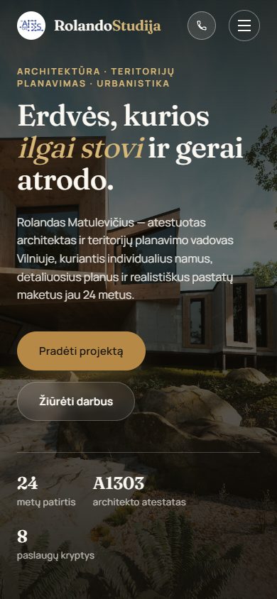 Svetainės pavyzdys telefone